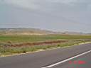DSC03859.JPG