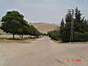 DSC03878.JPG